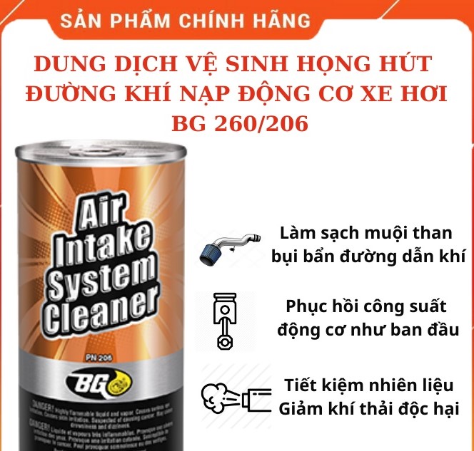BG Air Intake System Cleaner (PN 206/PN260)